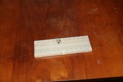 IMG_0341.JPG