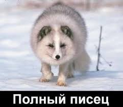 images.jpg