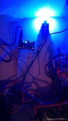 IMG_20200702_170526.jpg