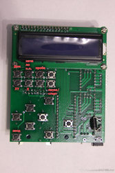 DSCF437.jpg