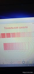 IMG_20211119_170938.jpg