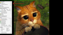 Безымянный.png