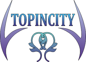 www.topincity.ru